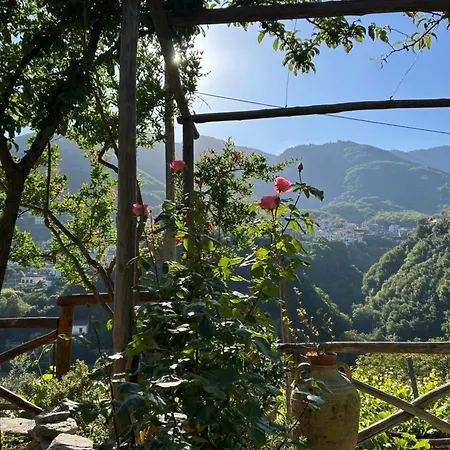 La Gemma Di