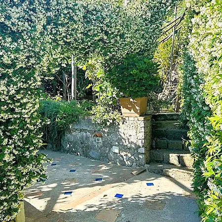 Bed & Breakfast La Gemma Di Ravello