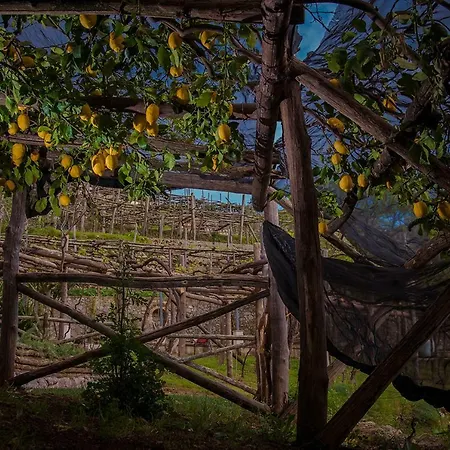 Bed & Breakfast La Gemma Di 4*