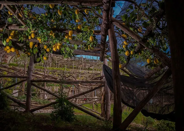 فندق مبيت وإفطار La Gemma Di 4*